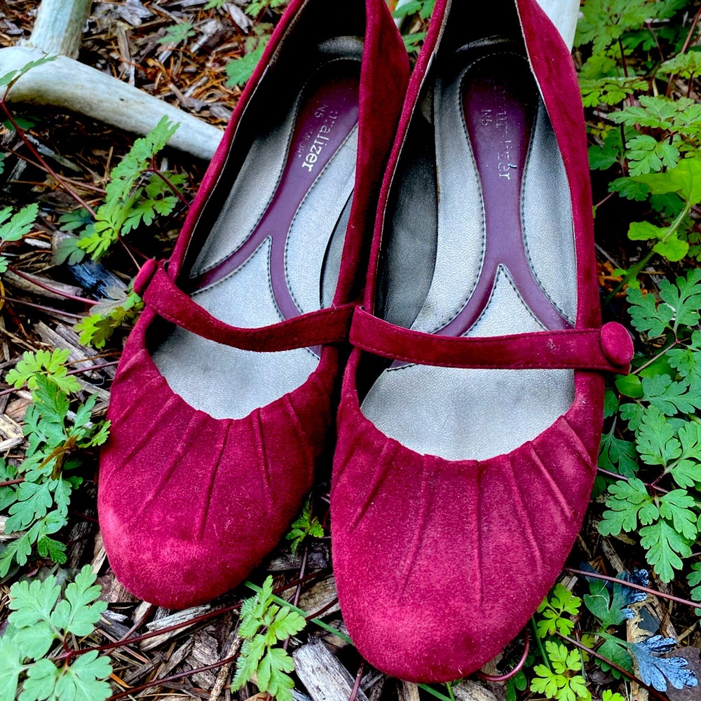 Suede Shoes